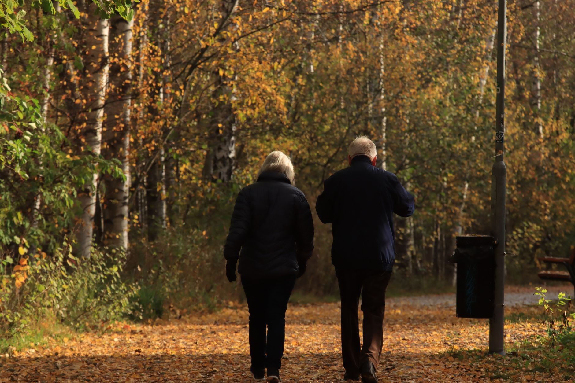 Deux personnes marchent avec des bâtons dans un parc aux arbres d'automne