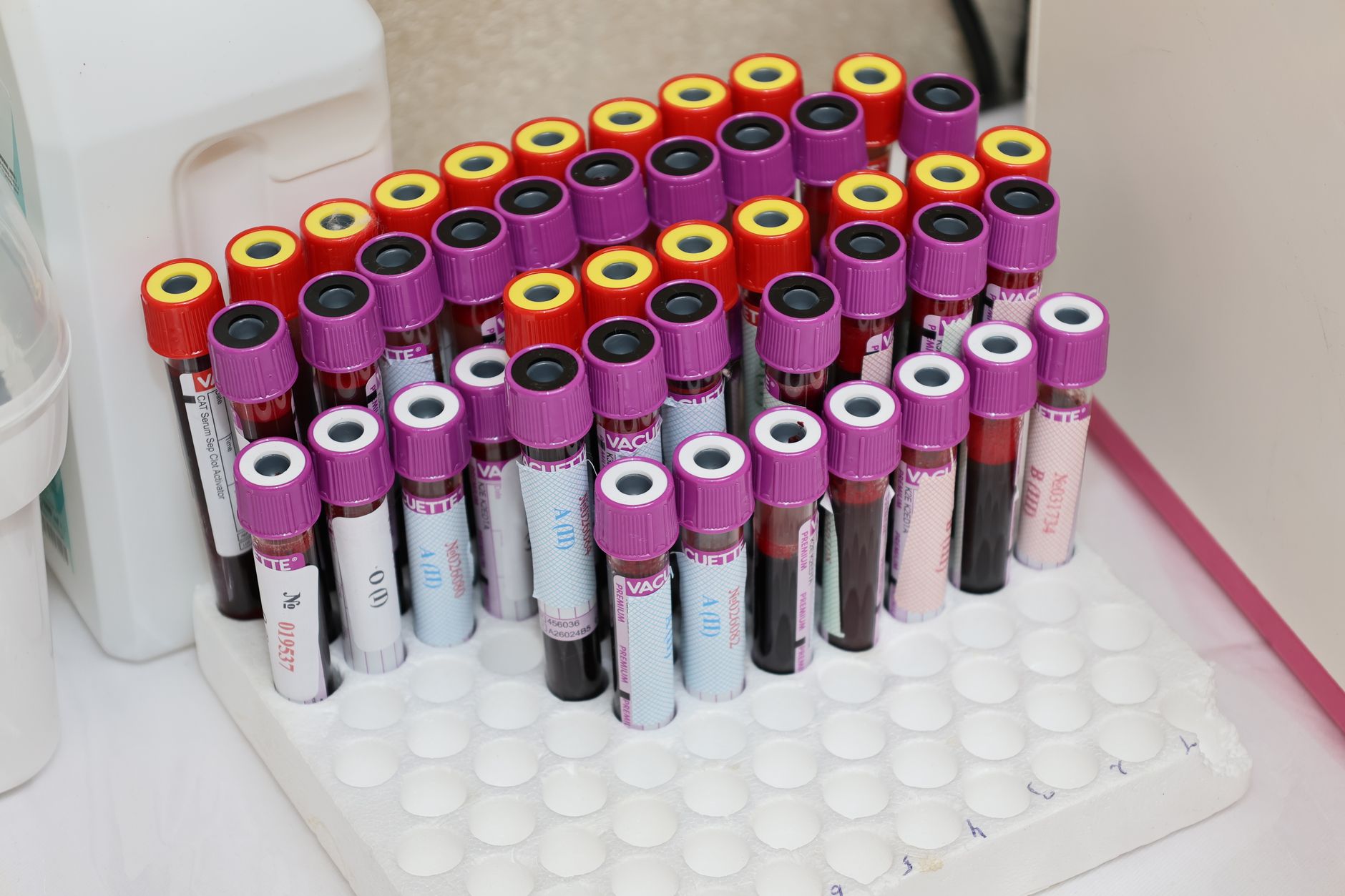 Rangées de tubes de prélèvement sanguin dans un laboratoire d'analyses